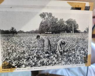 Interesting Postcards 