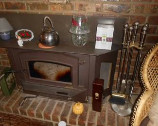 Fireplace Insert