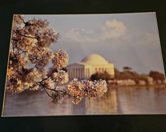 The Jefferson Memorial, nice large photo by local artist.