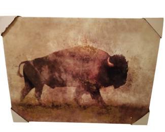 Buffalo Canvas Print 