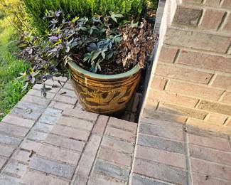 Chinese Dragon Pot Planters