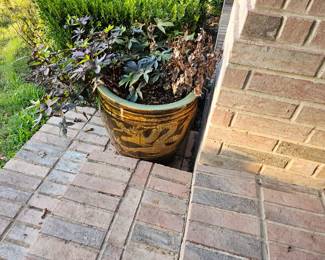 Chinese Dragon Pot Planters