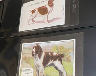 Large Stamp Collection W/ Full Sheets & First Day Issue Covers