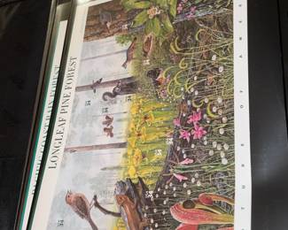 Large Stamp Collection W/ Full Sheets & First Day Issue Covers