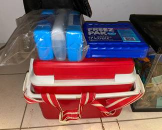 Cooler W/ Ice Packs