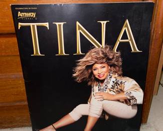 Tina Turner Concert Program Tour Book