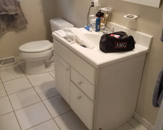 Bath vanity; toilet