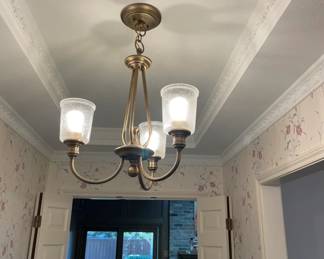 Light fixture. Purchased from Lights Fantastic.