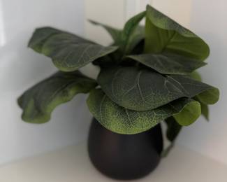 Faux Plant.