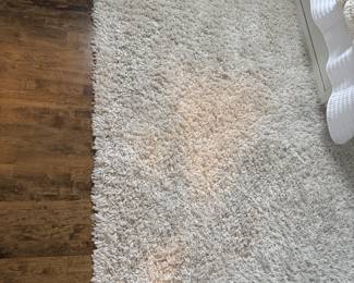 Shag Rug. Measures 6' 6" x 8' 11".