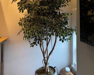 Faux Ficus Tree. Measures 104" H.