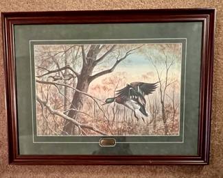 Framed print "Tennessee Treetops" signed by R.J. McDonald