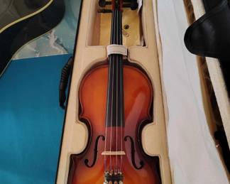 violin