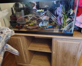 Presale 50 gallon tank n stand 