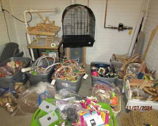 medium parrot bird items