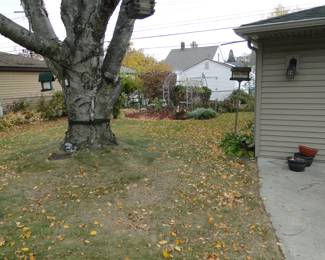 Peek a Boo, I see you