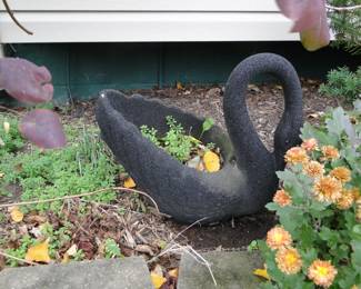 Beautiful Black Swan cement planter