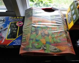 Turtles, Turtle power!!  Teenage Mutant Ninja Turtles