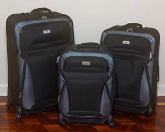 Luggage Set
