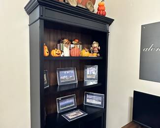 One of Two Book/Display Cases with Great Storage