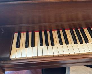 20Nov 14 2024 06 54pmT1MT