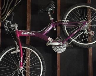 Capri 2.4 Jamis Girls Bike Pink/Magenta