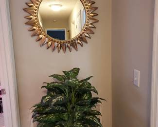 Mirror  and plant