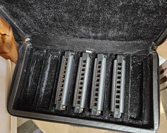 Hohner harmonica set