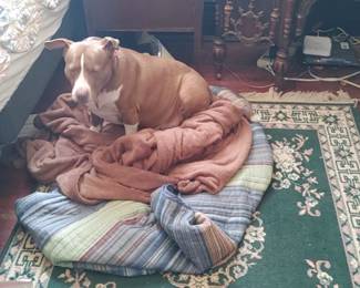 Precious arranged her some covers on the floor❤️