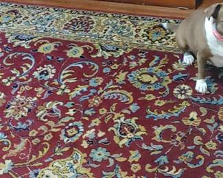 Precious always loves to photobomb the pictures of the rugs! 
Gorgeous rug and the den