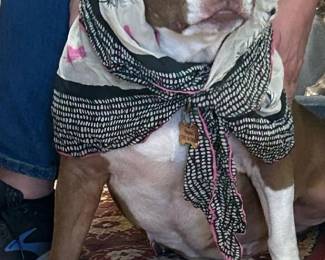 Mama said it would be a good idea for me to model this beautiful vintage scarf! 