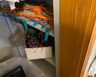 Closet in this downstairs bedroom