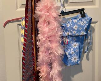 Ties, feather boa & swimsuit