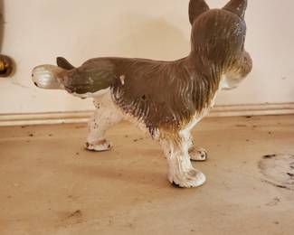 He found his tree...