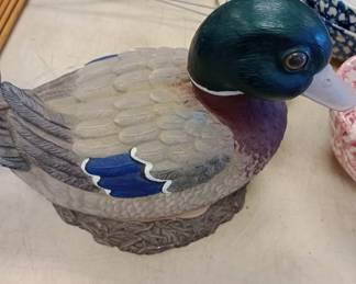Duck