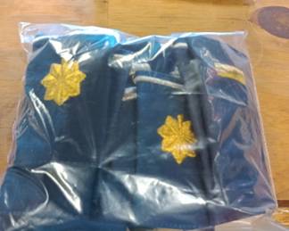 Airforce military insignia