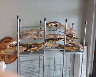 large 3d wall art fish art signed