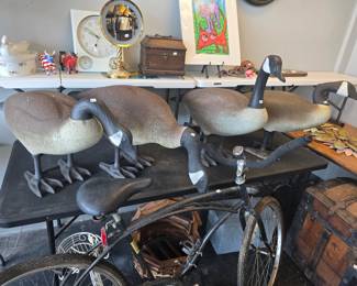 geese bike and more