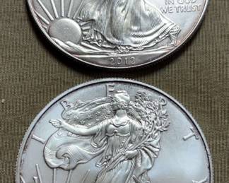 2012 & 2013 Silver Eagles
