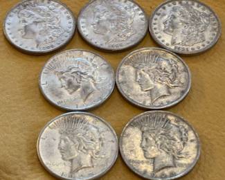 Morgan and Peace Dollars Early 1900s