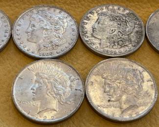 Morgan and Peace Dollars Early 1900s