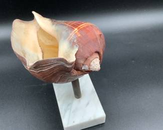 United States Candle Company conch shell candle on brass and marble base