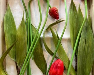 Vintage art deco German glass tulips.