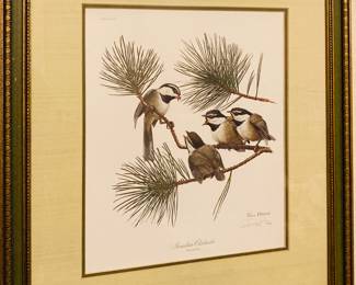 Wall Art Signed Ray Harm Mountain Chickadee.