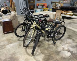 Bicycles Orlando Estate Auction