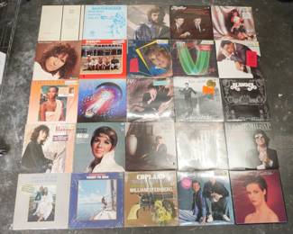 Lot Of 25 Assorted Vinyl Records