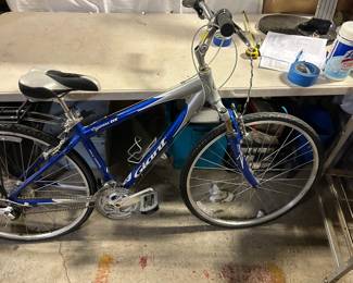 Giant Bike