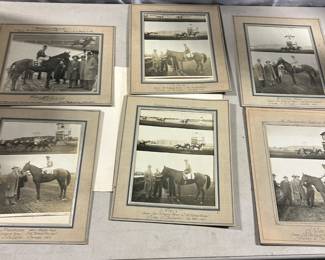 Vintage Racehorse prints