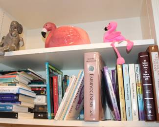 holistic health books