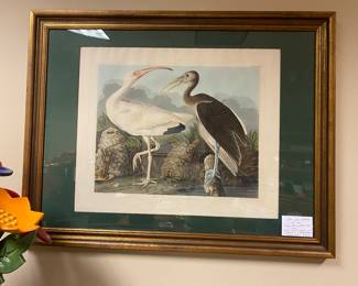 John James Audubon  ( 1785-1851)                                                             White Ibis, Plate 222   c. 1834                                                                          hand colored engraving  on J Whatmar Paper                                      HAVELL EDITION
